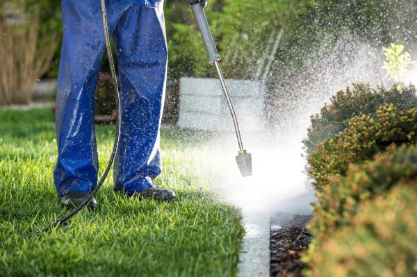 Curb Cleaning in Sheboygan