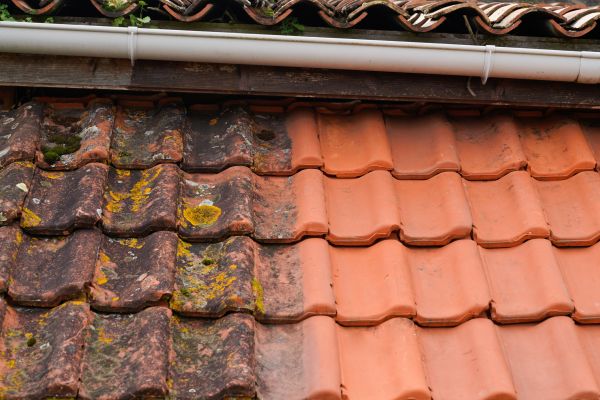 Industrial Roof Cleaning in Sheboygan